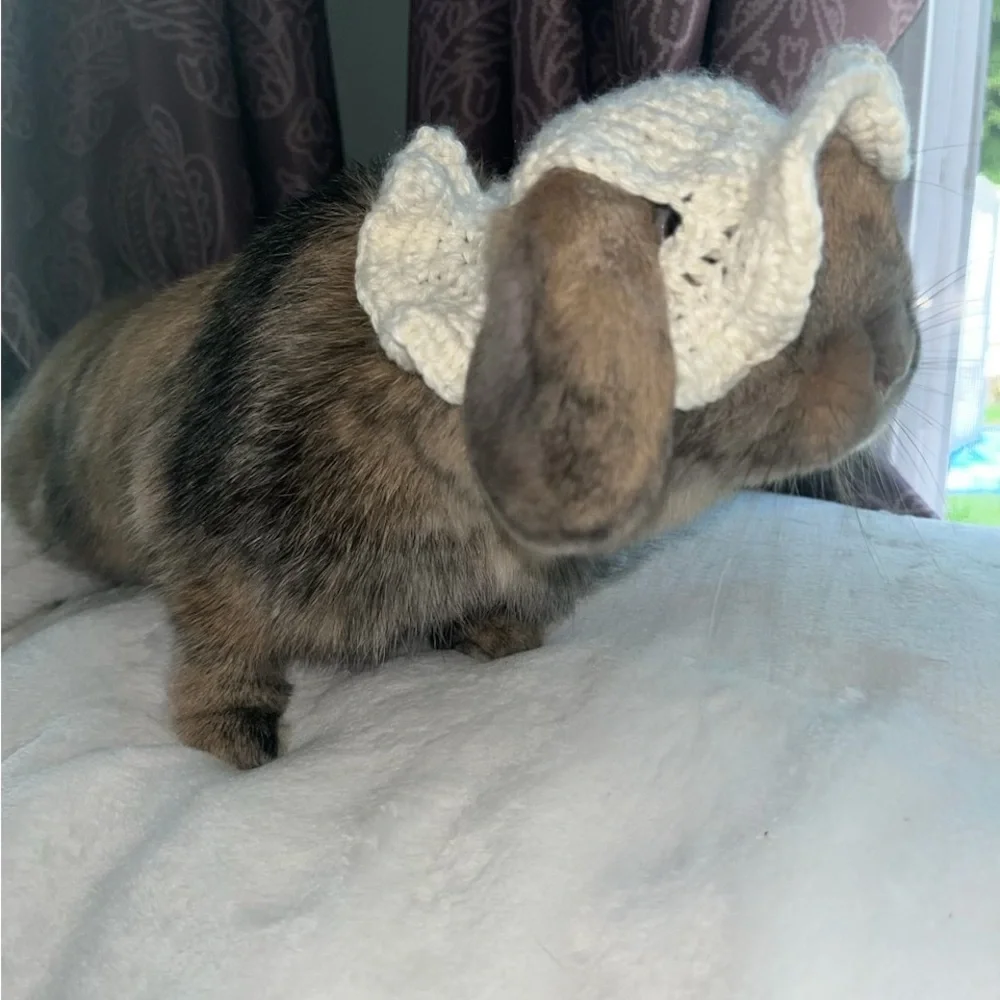 Pet handmade hat. Perfect for bunnies, cats & small dogs.